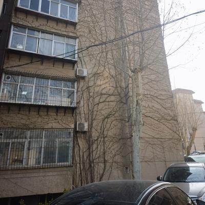 山东人有话说：原拆原建--老破小的凤凰涅