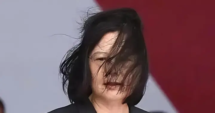 揭露蔡英文隐秘私生活：至今未婚无子，爱猫如命，家人早已远离