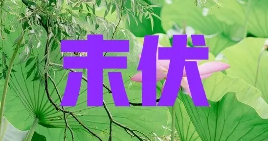 不是迷信！今日七月初二末伏，白天4禁忌，晚上2注意，告诉家人