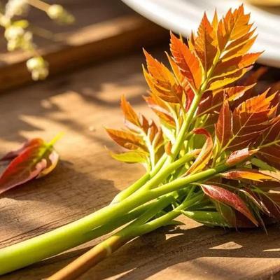 曾老师杂谈：又一起吃香椿中毒！医生再三提