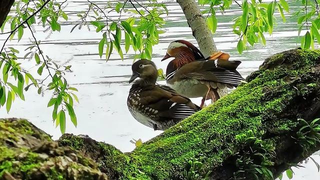 野岩：一个人最大的清醒   1. 认清自