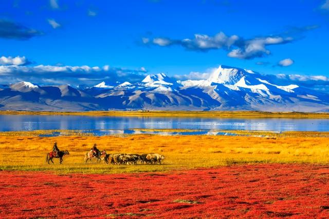 天蝎座：痛苦与渴望是同一条路，寻到内在的自己是一切问题的答案