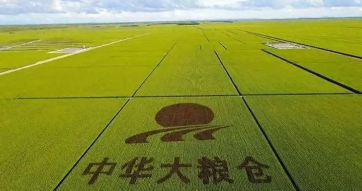 北大仓为什么要退耕还荒？辛苦耗时60年，为什么要抛弃？