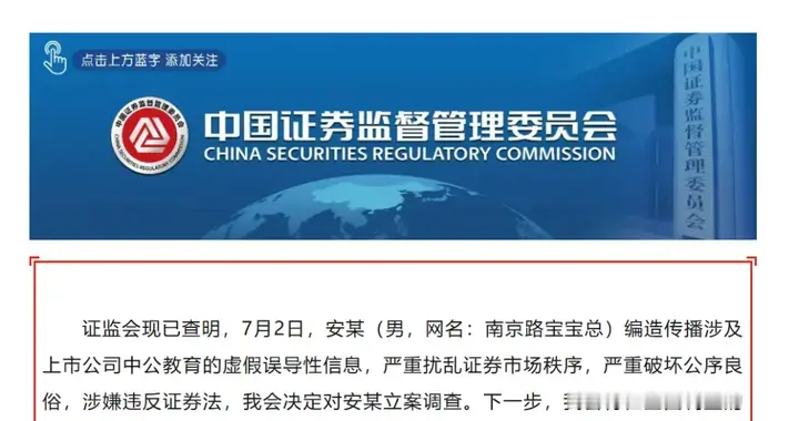 证监会火速出手！“南京路宝宝总”被立案调查