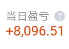 重仓券商，今年亏损 -5%