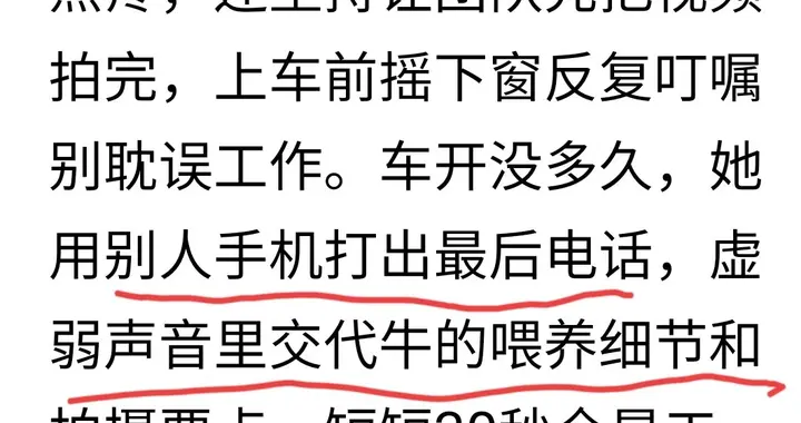 看了贺娇龙骑马出事细节，最后交代的却是牛？这些我有点不明白