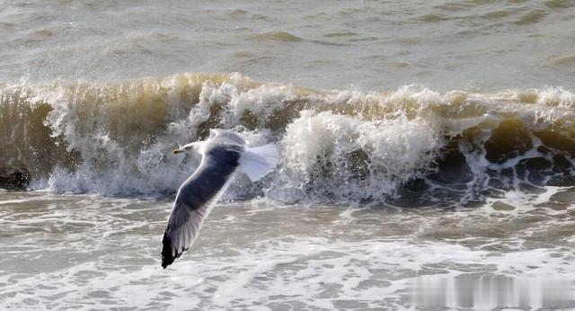 宗筋疲软，见色倒戈，固精能力差？该如何降低敏感度过高的问题？