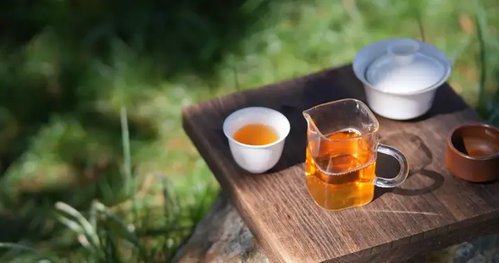 早上喝什么茶最舒服？