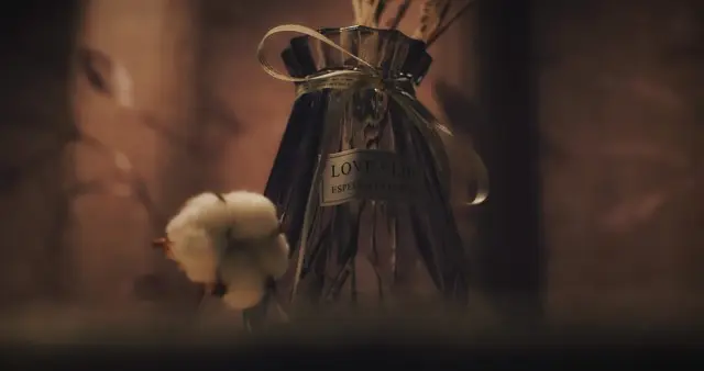 先敬罗裳后敬人：先穿好自己的衣，再爱遍世间的人！