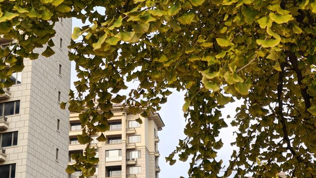 不爱钓鱼爱围观：我爱吃水饺，白菜肉、韭菜