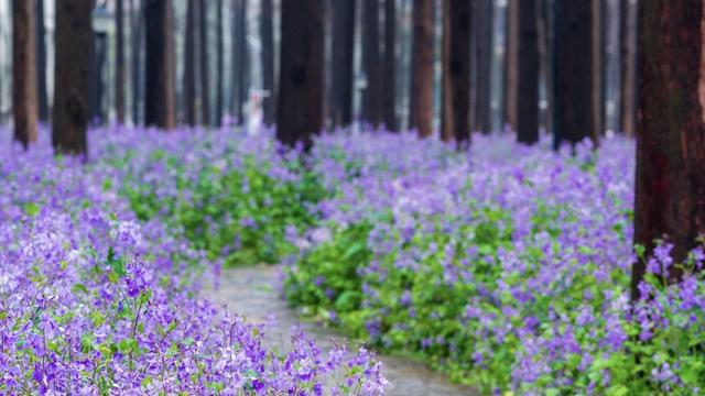 家有考生001：你以为孩子在学校都能认认