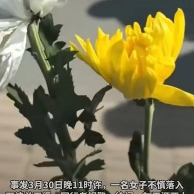 今生缘：生命修行：从晋州夜渠的悲壮，读懂