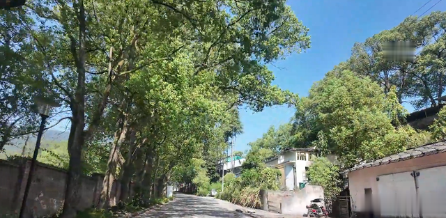 四川达州：大山里的荒废建筑群，曾是一家海军装备研究所