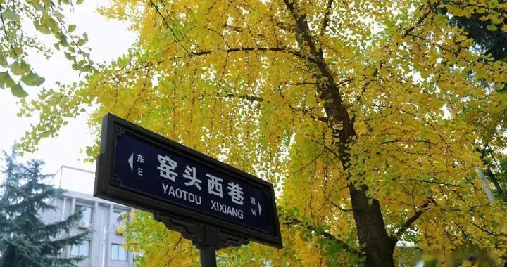 “落叶缓扫”！西安高新区15处点位，等你来打卡....你去过几处？