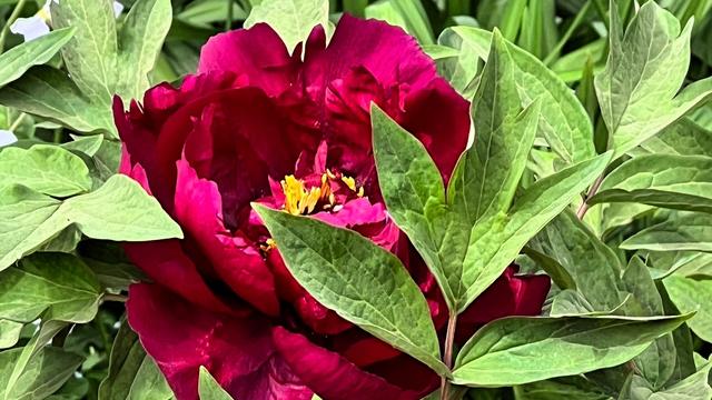 博览群书：这是