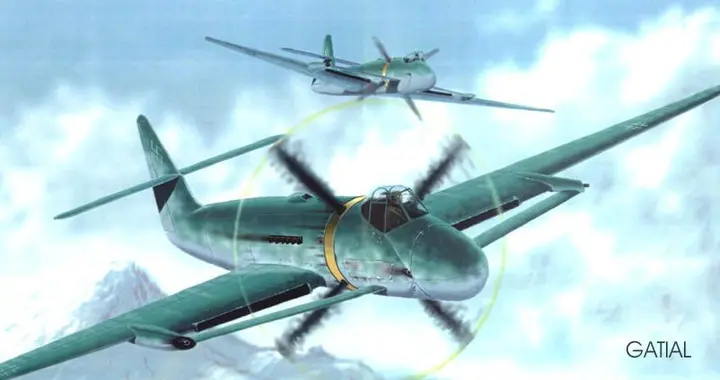 脖子痛的攻击机——布洛姆-福斯 P.192