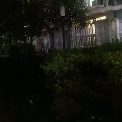 Mr张聊生活：要说营商环境，还得属江浙地