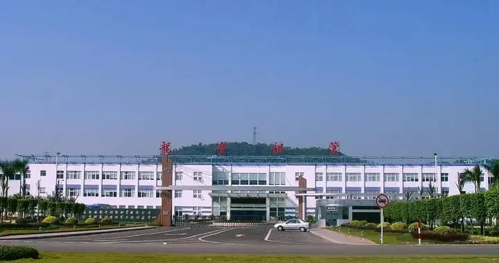 上海众有风冷调温除湿机组助力广东龙丰车间温湿度精准控制