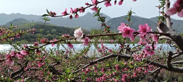 今日阳光灿烂，风和日丽