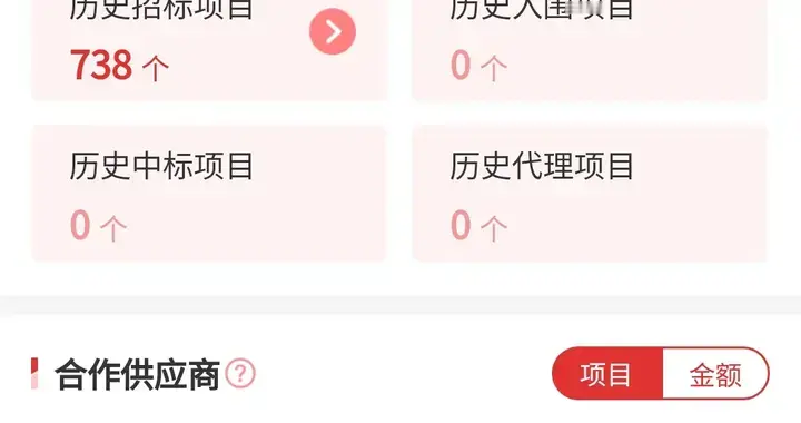 2 家投标人、作者同一人......
