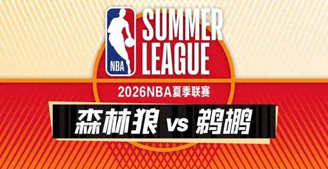 森林狼13分逆转鹈鹕，巴夫金狂砍30分饮恨，团队篮球才是王道