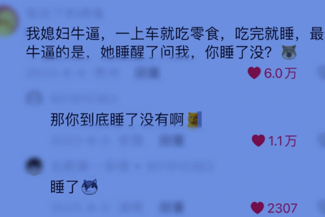 出远门你媳妇坐在副驾驶上在干嘛？评论区让人笑到肚子痛，人才啊