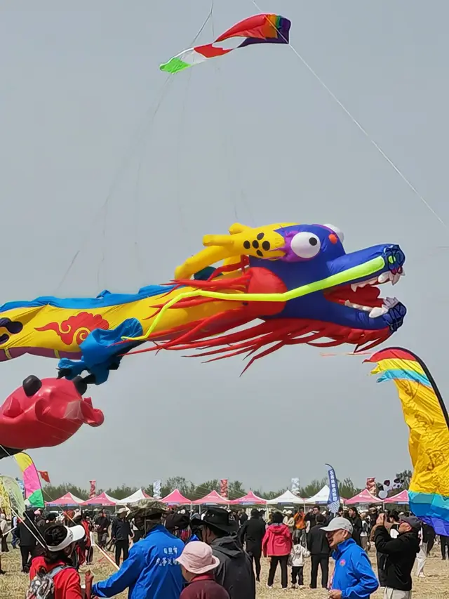 风筝，还是潍坊的好！（上）