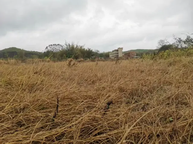 坟不过三代