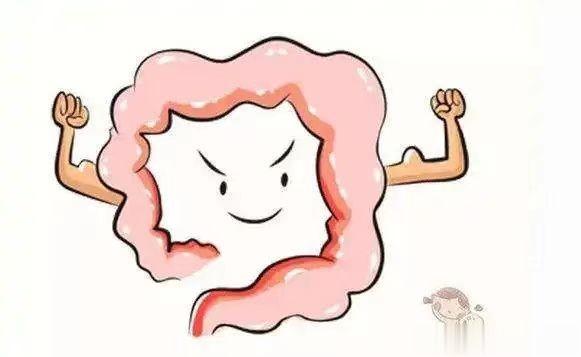 便秘不用愁，四种情况辩证治，帮你解决便秘