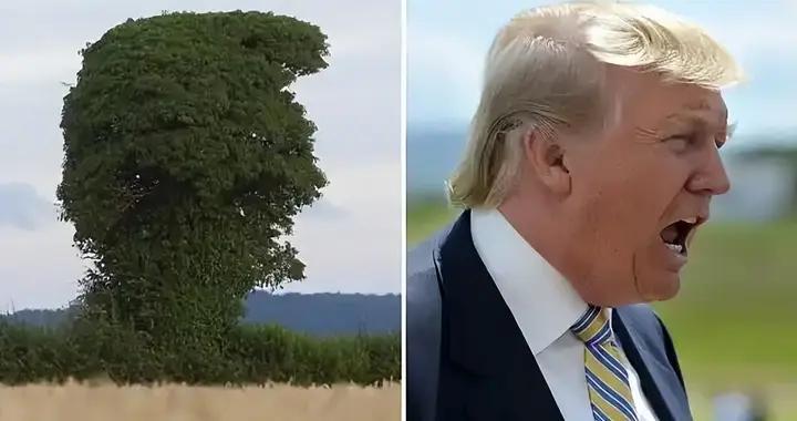 美国拟组跨大西洋矿产联盟，日本企业界已出现"技术恐慌"现象