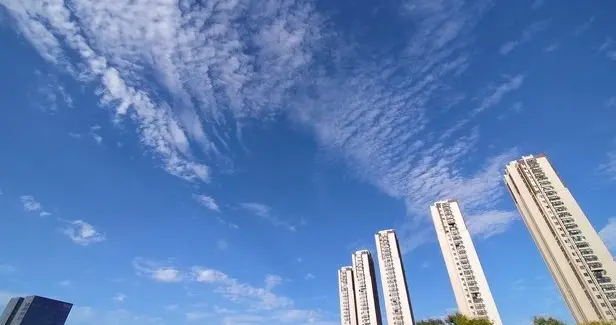 周末无雨放心玩！江苏常州风向转变，周六阵风可达6级
