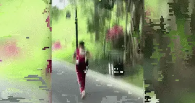 “晃着才能睡着”？——当育儿“经验”撞上科学警钟