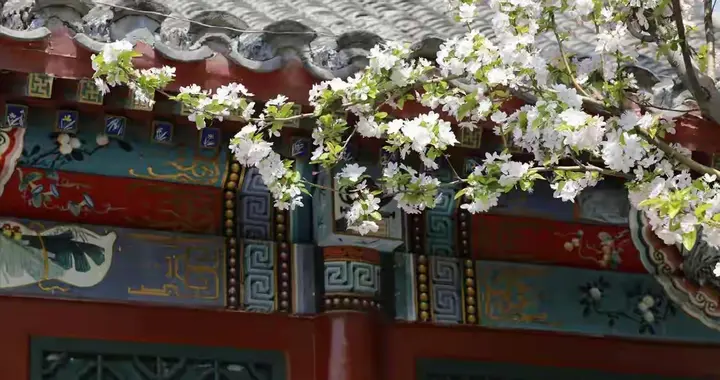 爸妈的心结：为什么我们总觉得“家”变了模样？