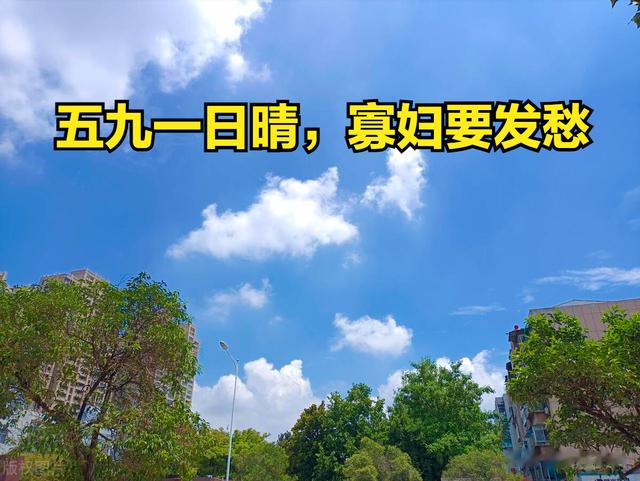 “五九一日晴，寡妇要发愁”，明日交五九，天晴有啥预兆？