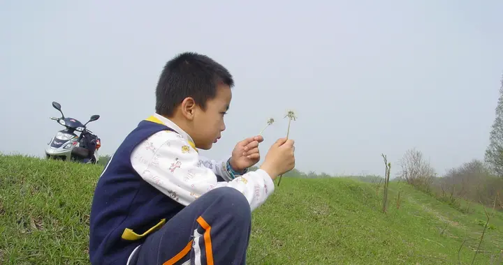 童年的菜园