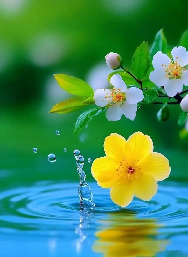 最经典的30个写“风”的诗句，春夏秋冬风，东南西北风，全齐了！