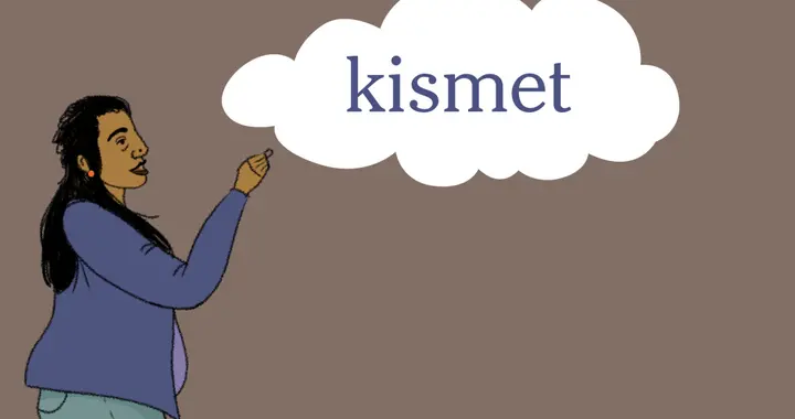 纽约时报 | 外刊每日一词 · kismet