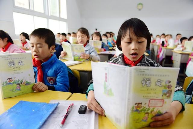 新课程提出学科实践后，我们应该如何应对？先从概念出发？