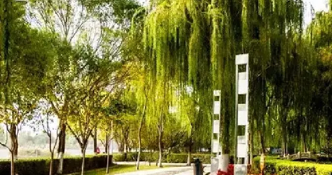 公园里一个老头搂个女人亲得起劲，那老头一抬脸，我整个人吓傻了