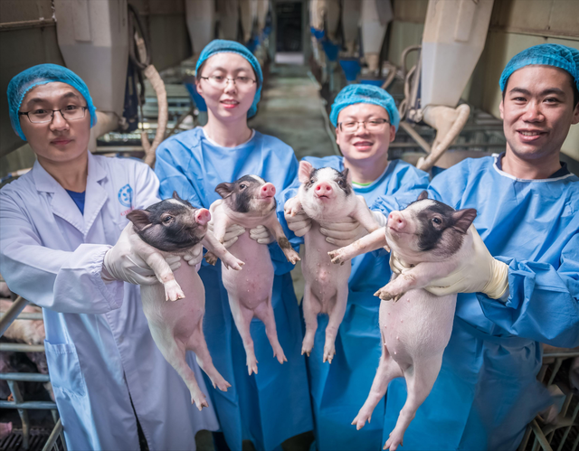 《自然》重磅！只学一年医未能当医生，他却可能终结70%癌症死亡