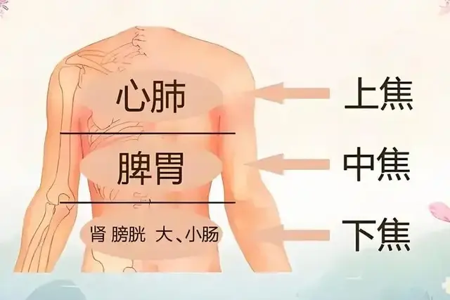 孩子矮小不长，是身体这里被“堵”住了！通一通，4个月涨5厘米！