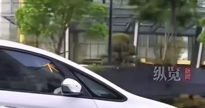 不懂法太可怕！一个遗失相机事件折射的社会责任与诚信危机