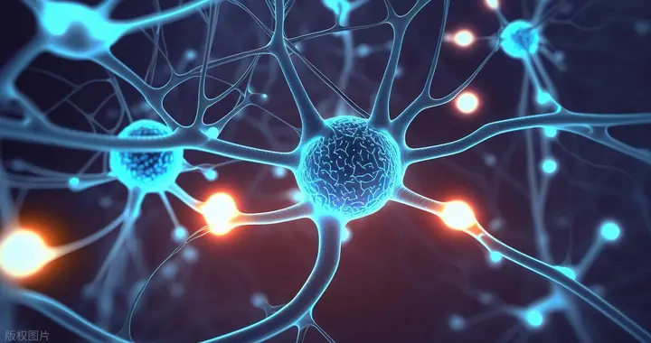 糖尿病周围神经痛别只知道普瑞巴林，一文梳理诊疗全流程