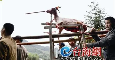 广东梅州男子清明祭祖用无人机吊运几百斤猪羊上山