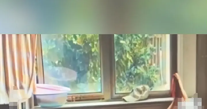 90 岁老人在楼道睡后续，房子被两个女儿卖了，工资卡被大女儿占了