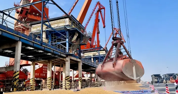 巴西大豆对中国“坐地起价”，彻底激怒中国，阿根廷送上及时雨