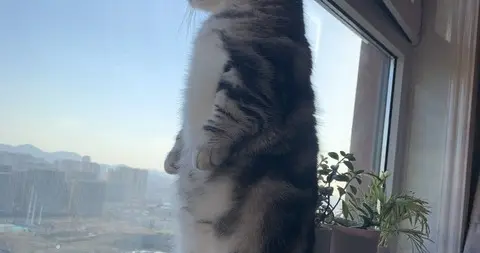 历史的深处，藏着人生最大的清醒