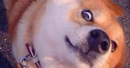 南阳刘氏宗族中论武力，除了刘縯、刘秀兄弟，应该就属他了