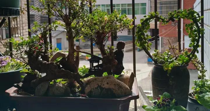 停暖后，家里的阀门要不要关？