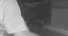 赶海的乐趣与隐忧：一场关于自然与生命的温柔叮咛